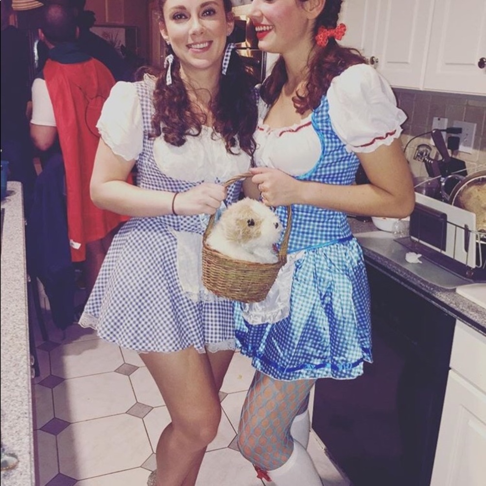 Dorothy Costume
